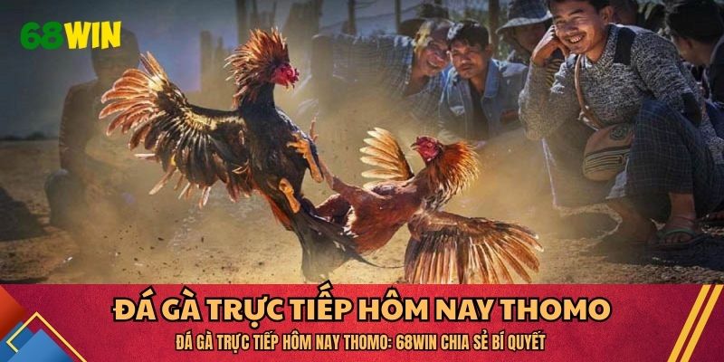Đá Gà Trực Tiếp Hôm Nay Thomo: 68WIN Chia Sẻ Bí Quyết